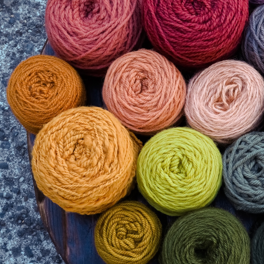Mycopigments--Natural Dyeing With Mushrooms and Lichens, With Alissa Allen