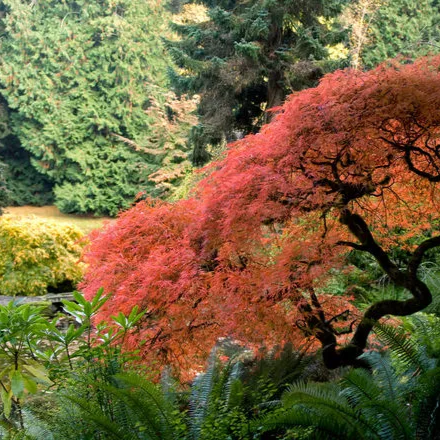 Nature-Inspired Writing With Jennifer J. Wilhoit (In Person)