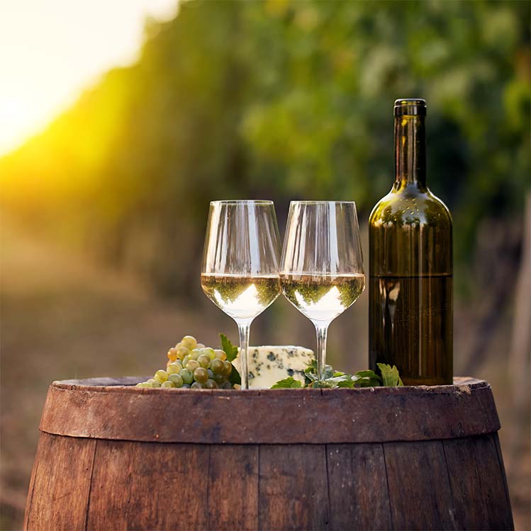 Summer Wine Discovery: Sauvignon Blanc