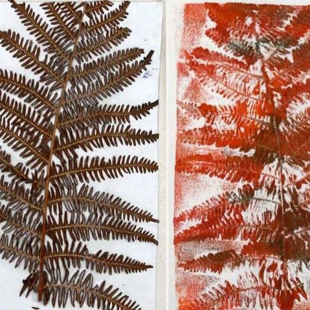 Summer Youth: Natural Ink & Printing Plants (Ages 10-14)