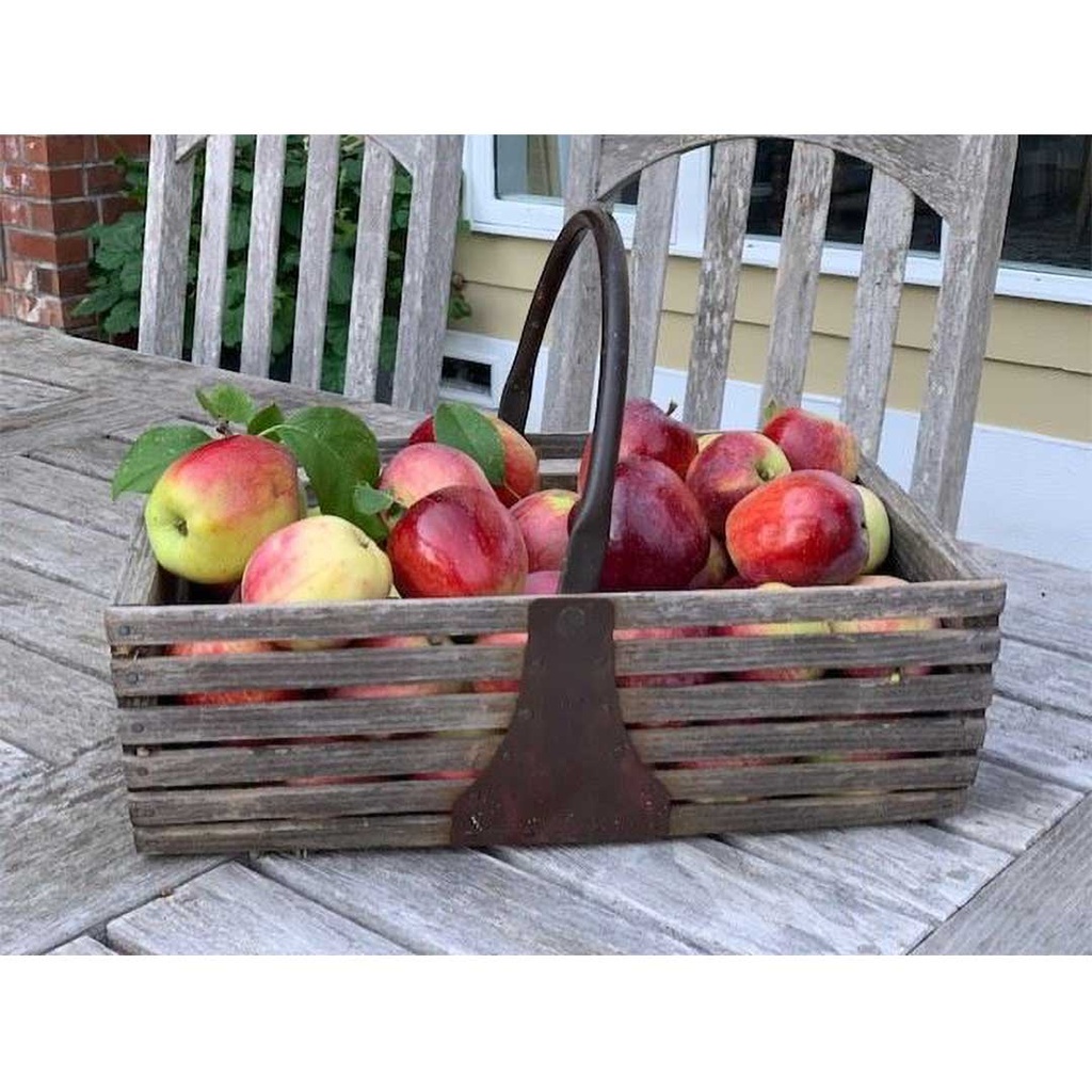 Try It! Make a Wood & Copper Garden Trug