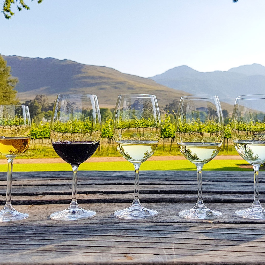 Wine 101: Up Your Wine Game