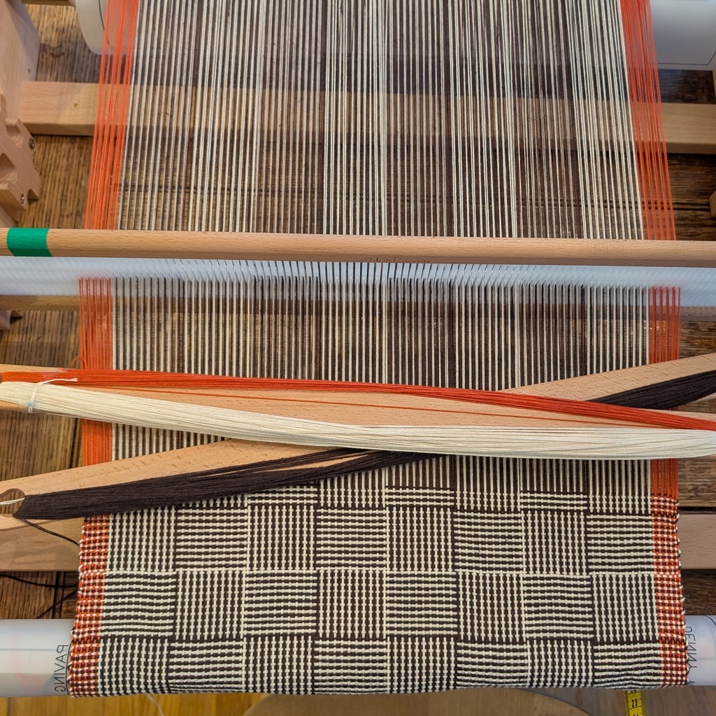 Color and Weave on the Rigid Heddle Loom