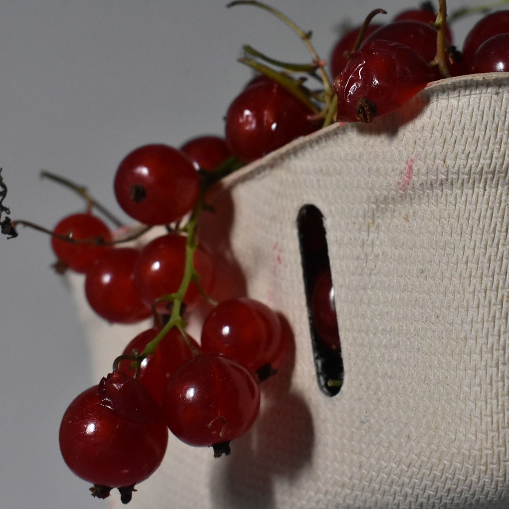 Summer Youth: Camera Creativity (Ages 8-10)