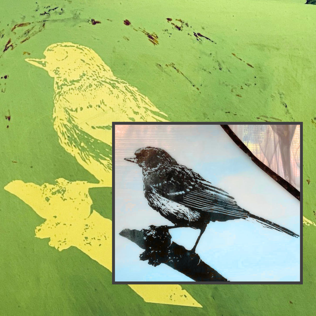 Photo Emulsion Screen Printing