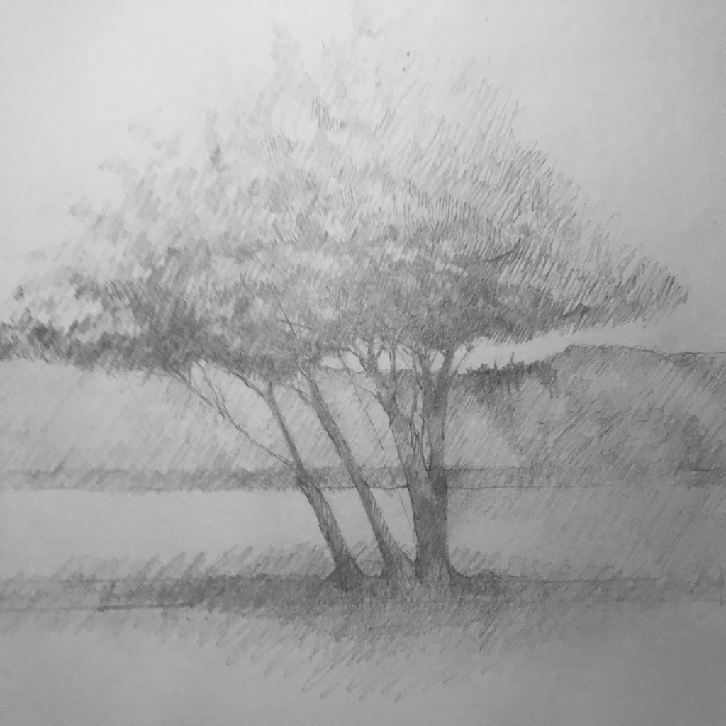 Going Outside: Introduction to Plein Air Sketching