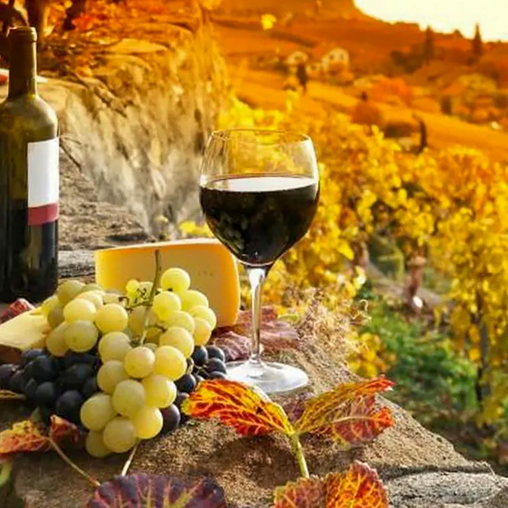 Regional Wines Series: Tuscany, Italy