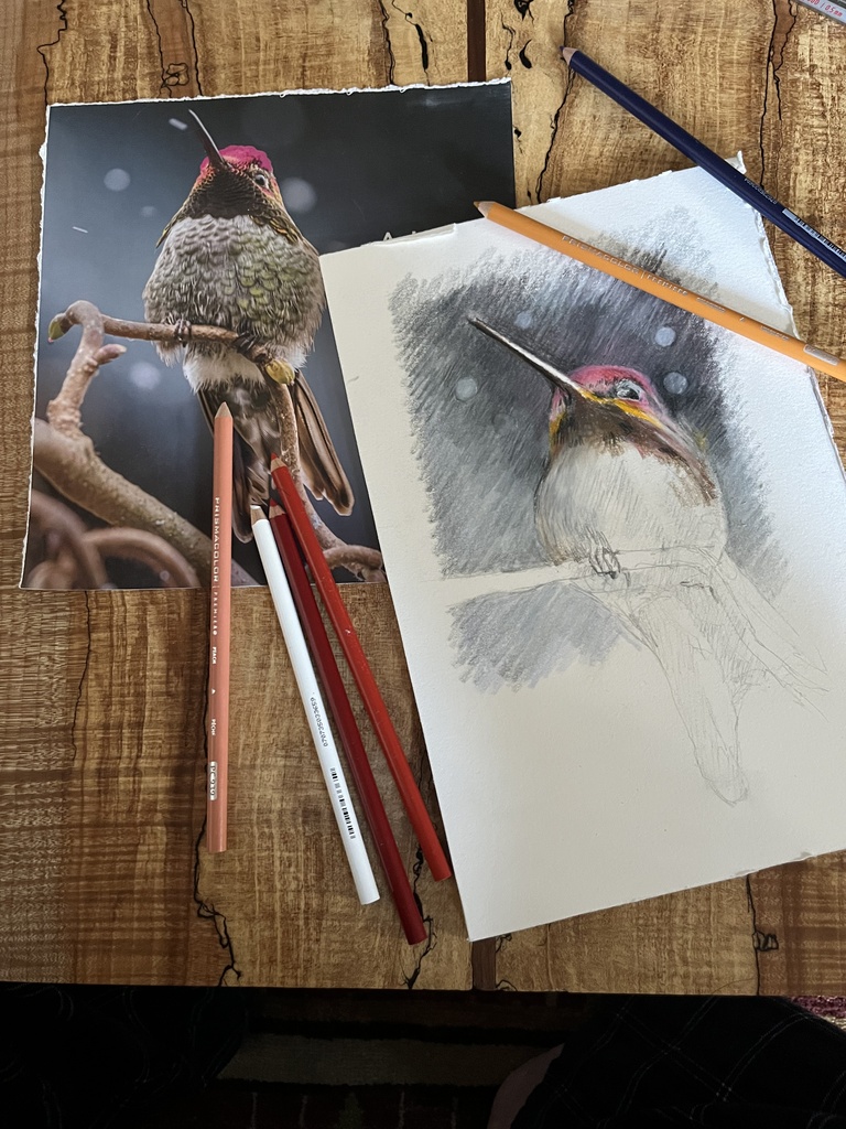 Introduction to Colored Pencil 