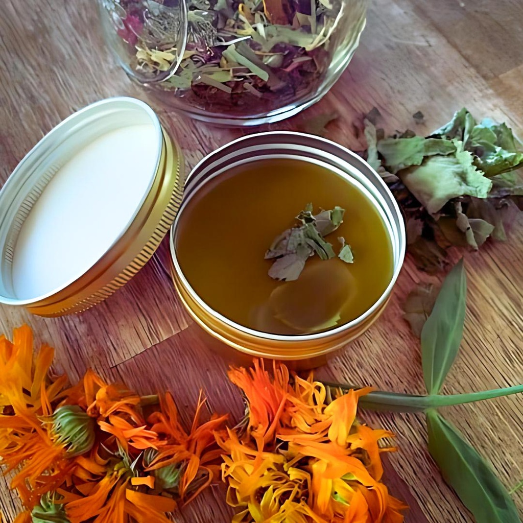 Herbal Medicine: Healing Salve and Tea