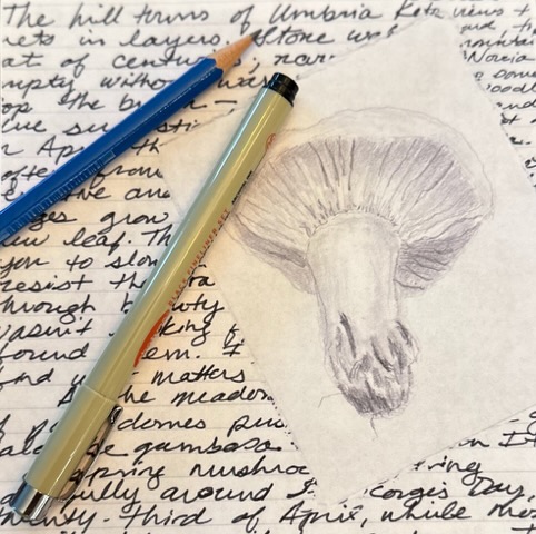 Nature Writing and Drawing